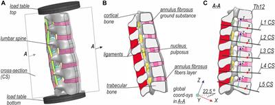 Biomechanics of Lumbar Spine Injury in Road Barrier Collision–Finite Element Study